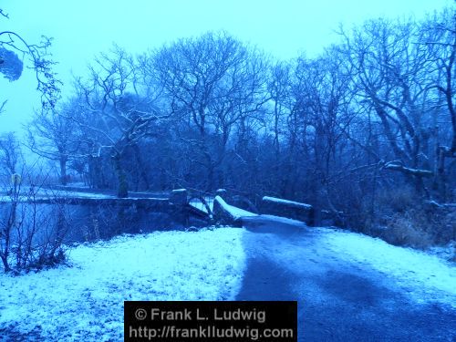 Winter at Doorly Park